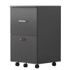 File cabinet with two drawers with lock,Hanging File Folders A4 or Letter Size, Small Rolling File Cabinet Printer Stand office storage cabinet Office