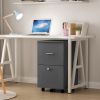 File cabinet with two drawers with lock,Hanging File Folders A4 or Letter Size, Small Rolling File Cabinet Printer Stand office storage cabinet Office